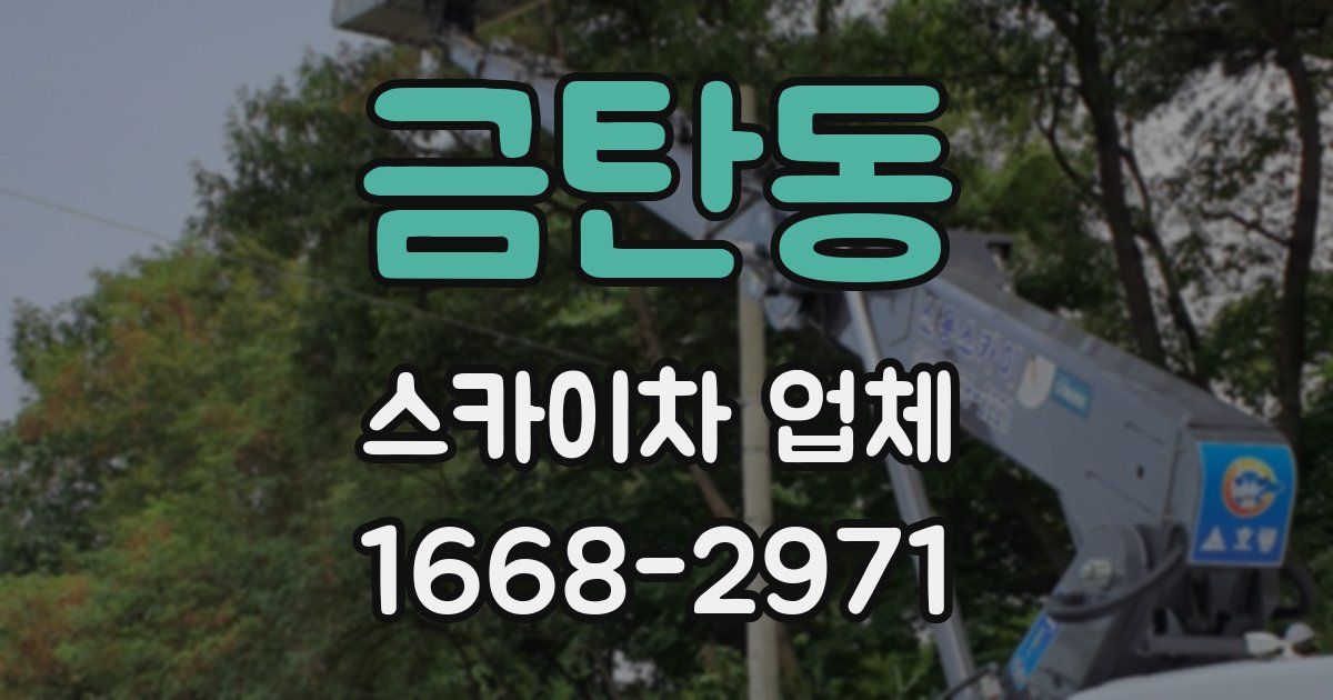 금탄동 스카이차 업체