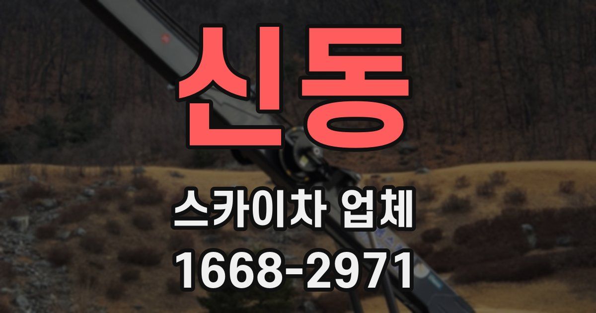 신동 스카이차 업체