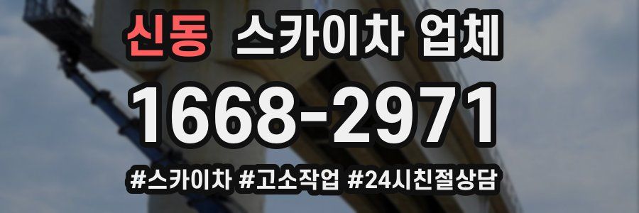 신동 스카이차 업체