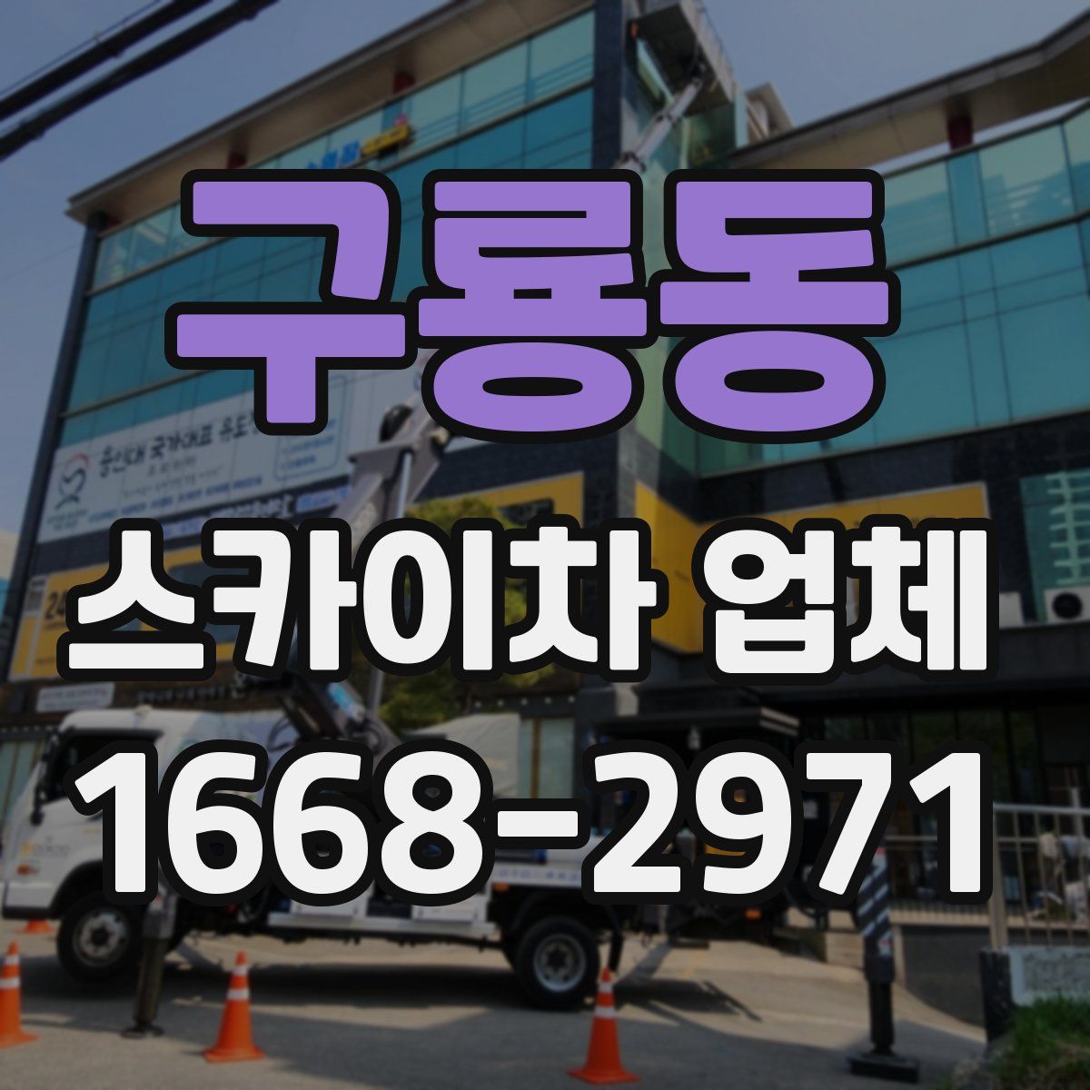 구룡동 스카이차 업체