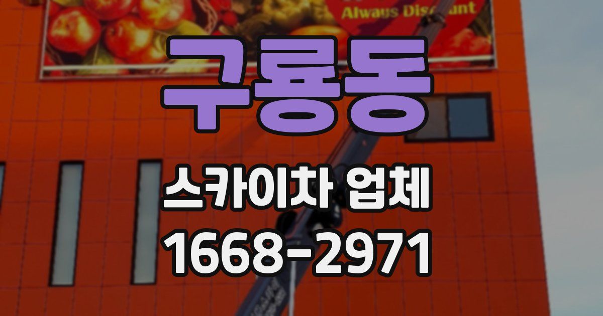 구룡동 스카이차 업체