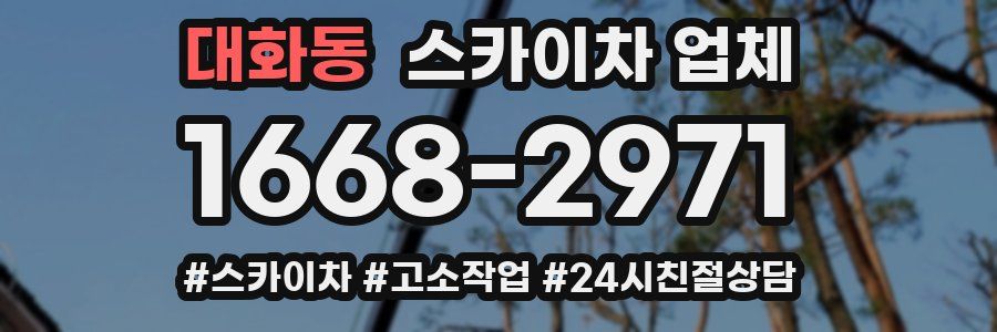 대화동 스카이차 업체