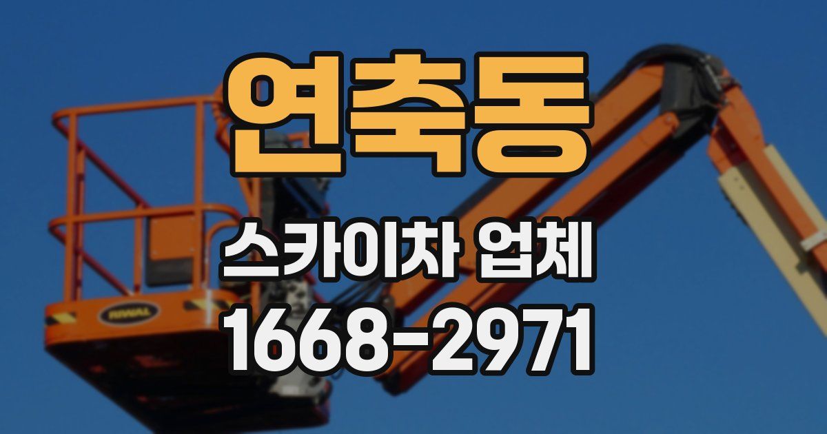 연축동 스카이차 업체
