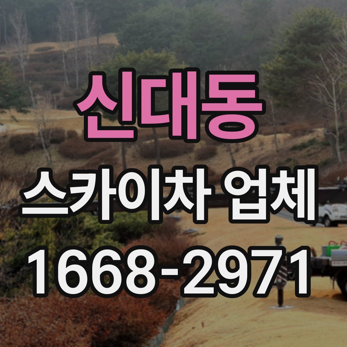 신대동 스카이차 업체