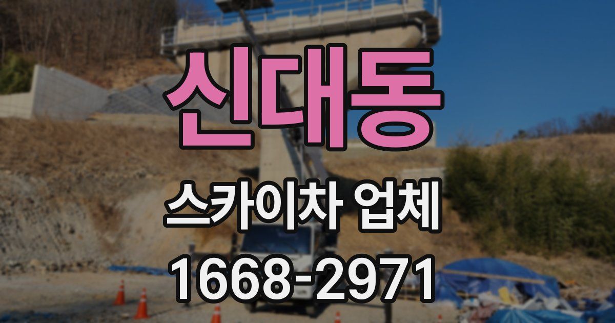 신대동 스카이차 업체