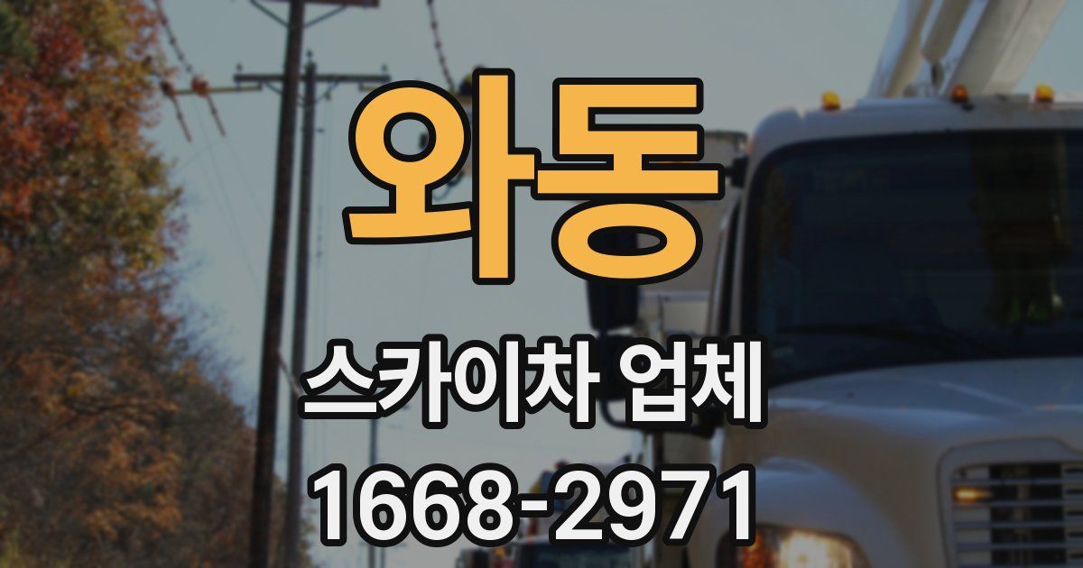 와동 스카이차 업체