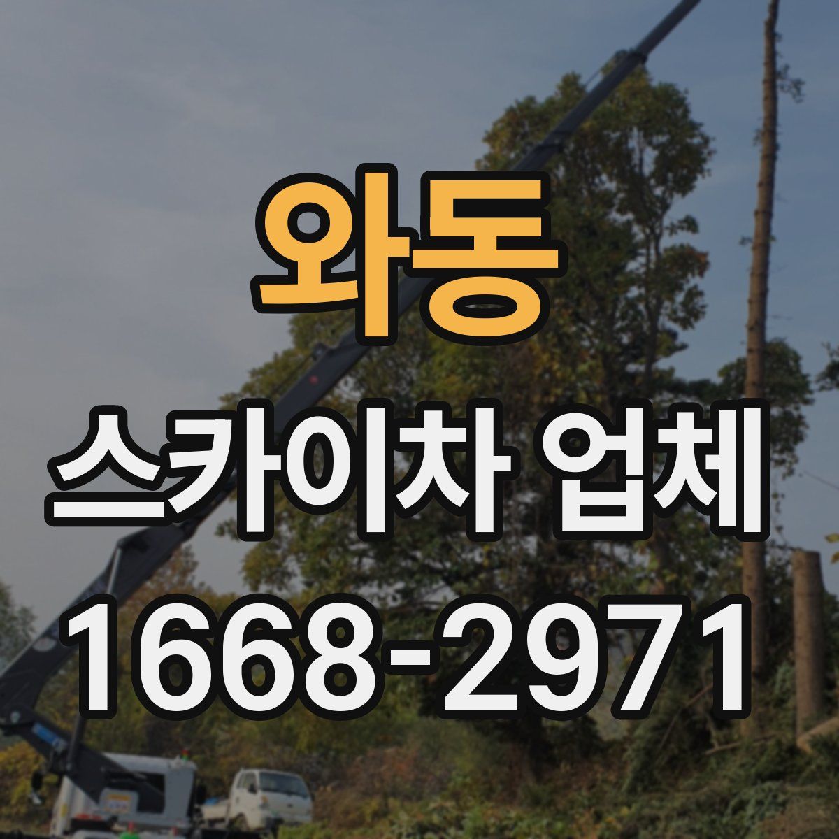 와동 스카이차 업체