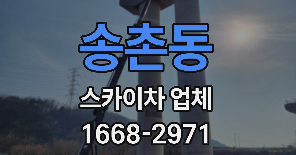 송촌동 스카이차 업체