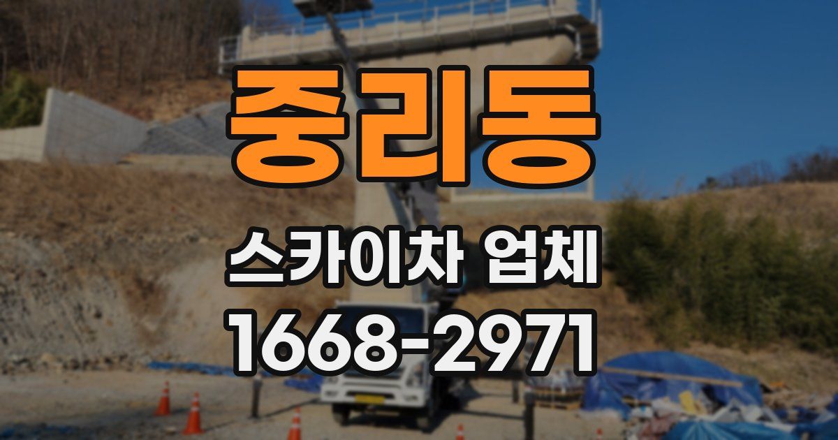중리동 스카이차 업체