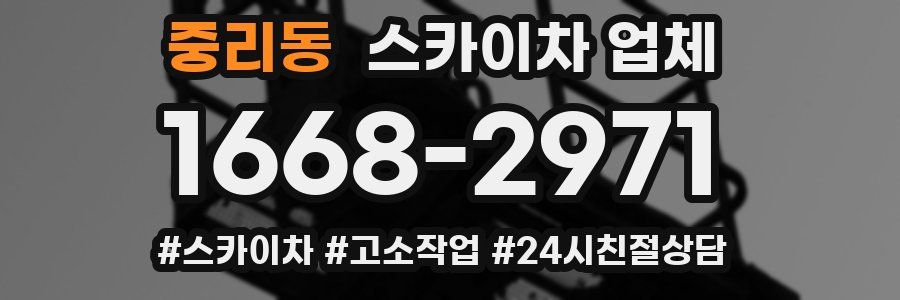 중리동 스카이차 업체