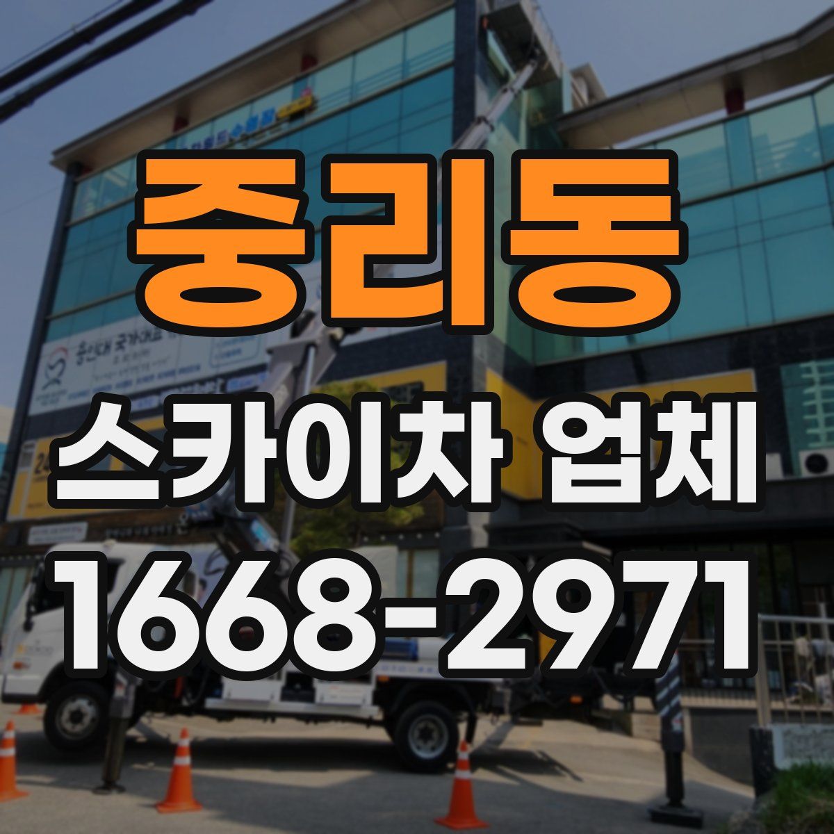 중리동 스카이차 업체