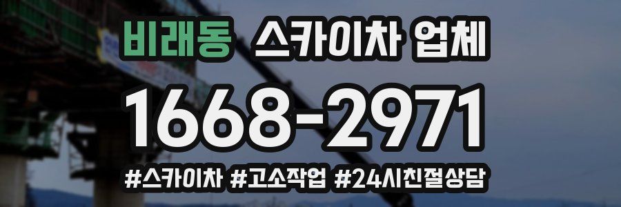 비래동 스카이차 업체