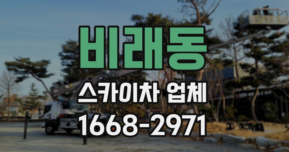 비래동 스카이차 업체