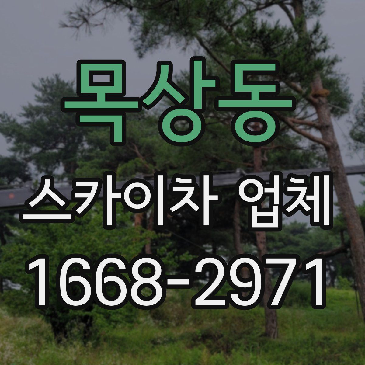목상동 스카이차 업체