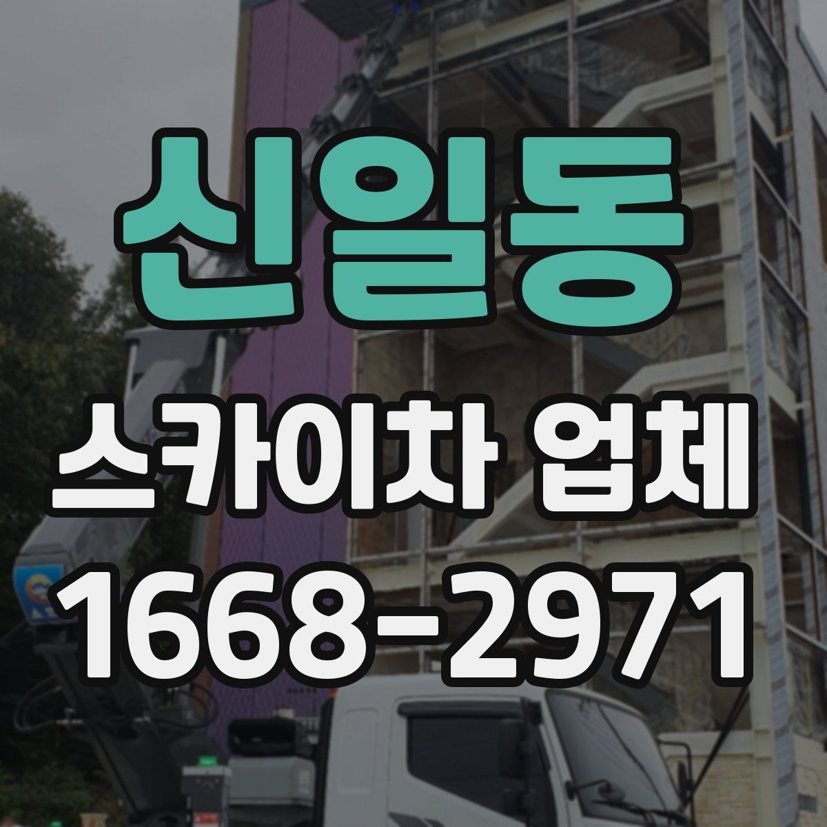 신일동 스카이차 업체