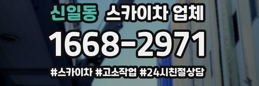 신일동 스카이차 업체
