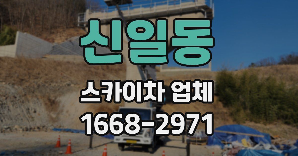 신일동 스카이차 업체