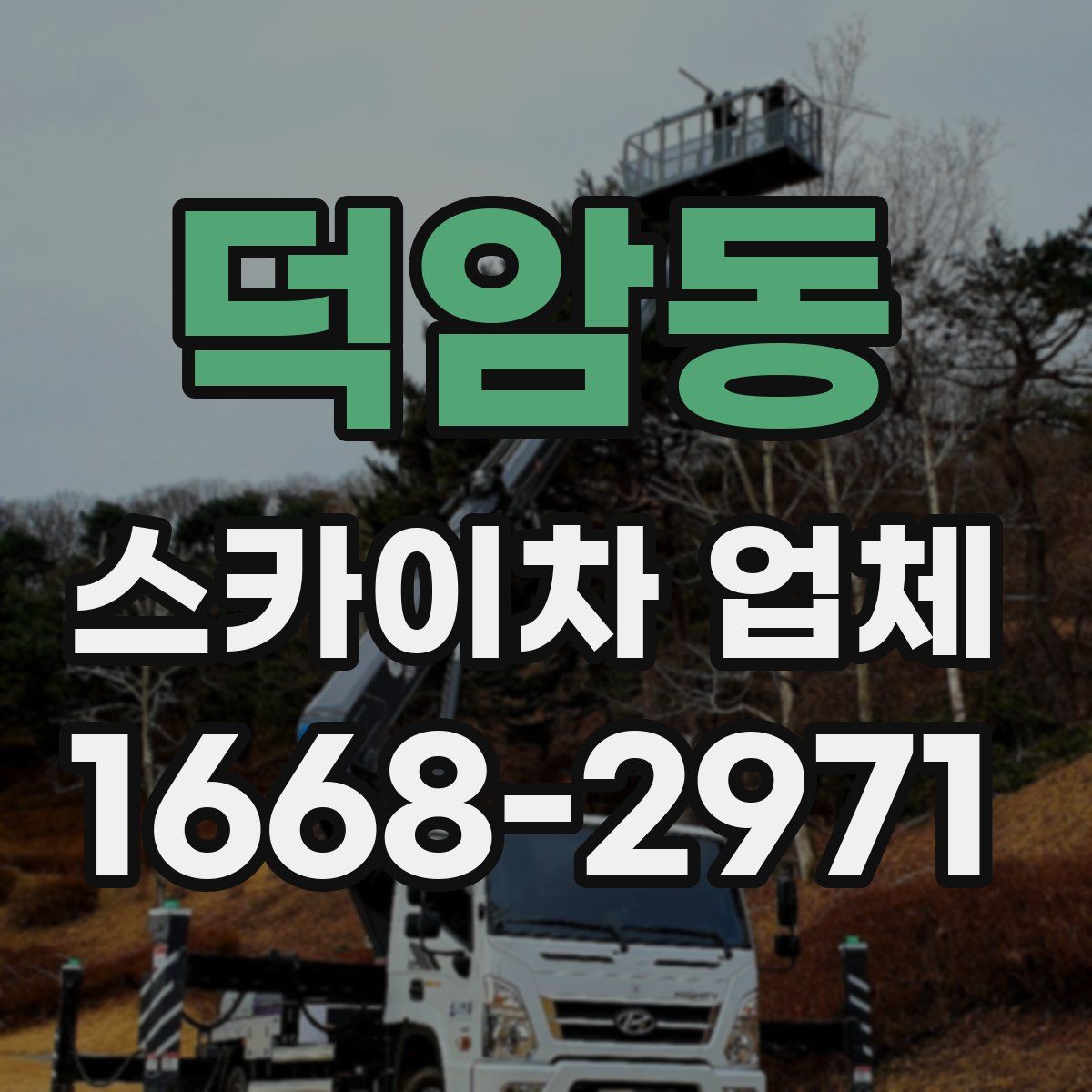 덕암동 스카이차 업체