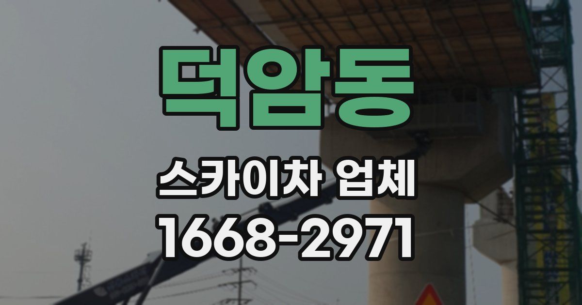 덕암동 스카이차 업체