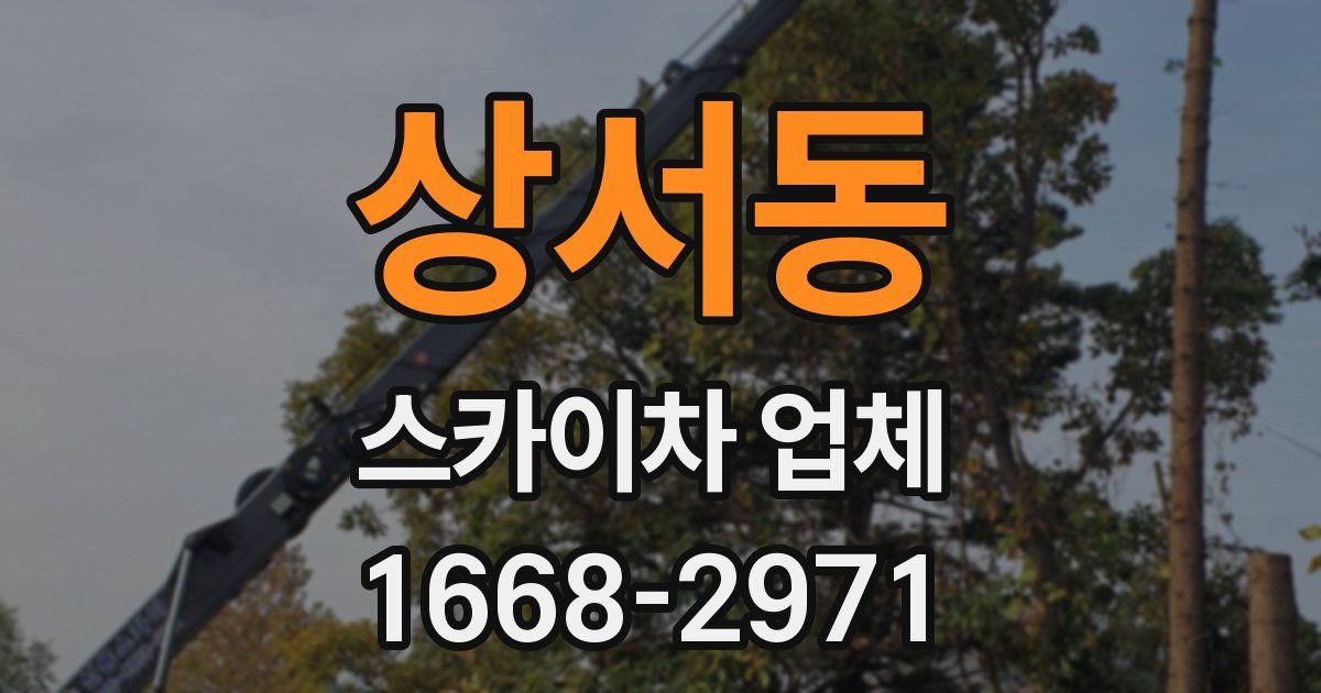 상서동 스카이차 업체