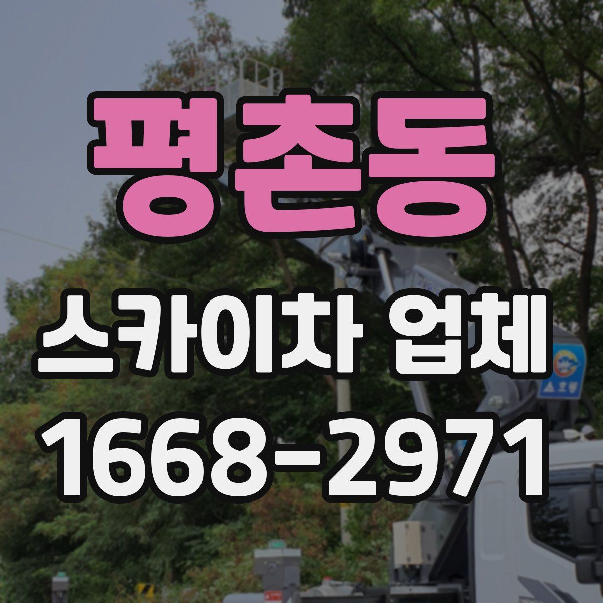 평촌동 스카이차 업체