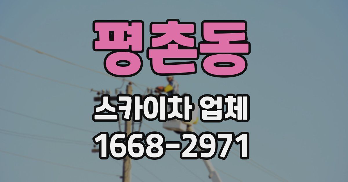 평촌동 스카이차 업체