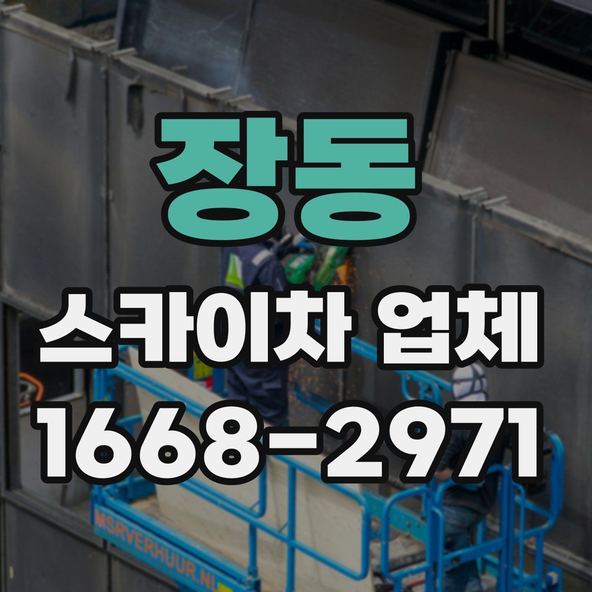 장동 스카이차 업체