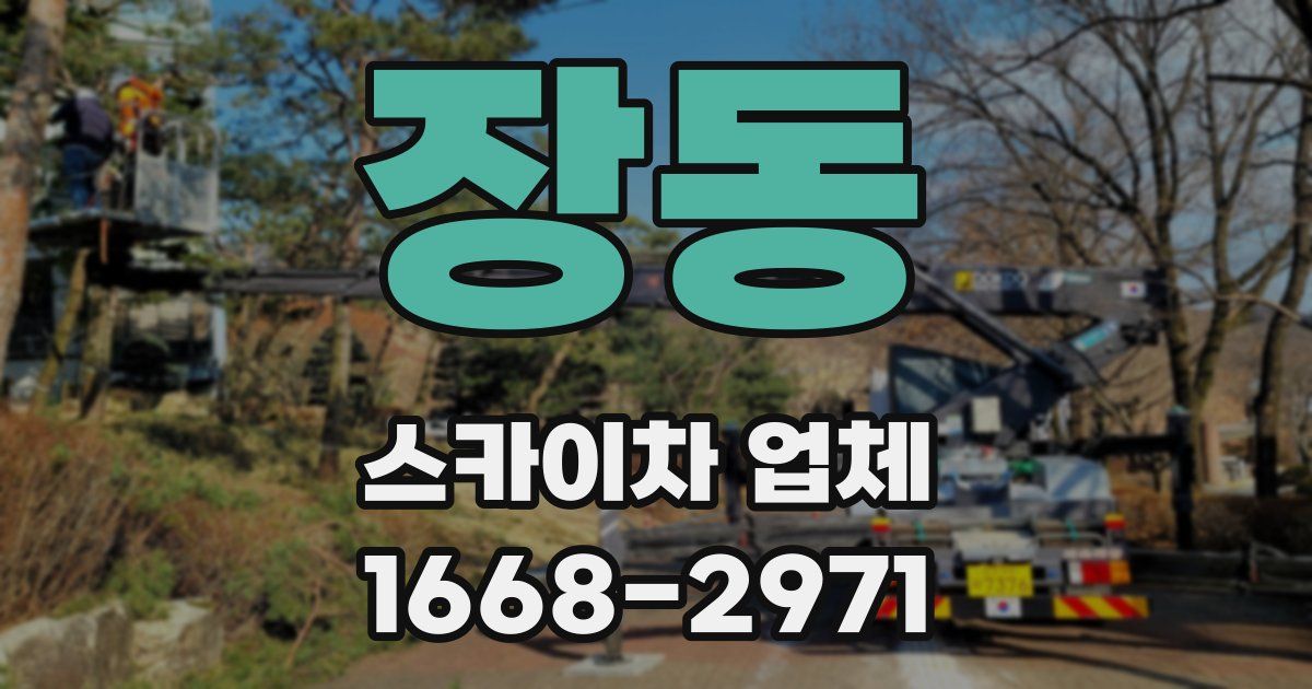 장동 스카이차 업체