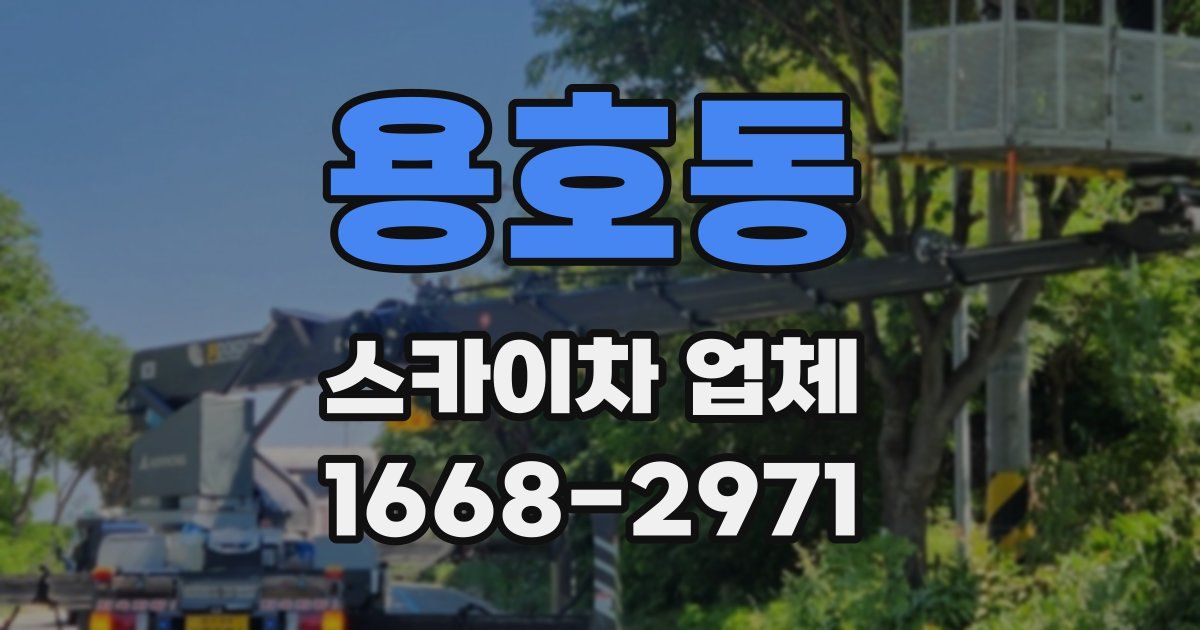 용호동 스카이차 업체