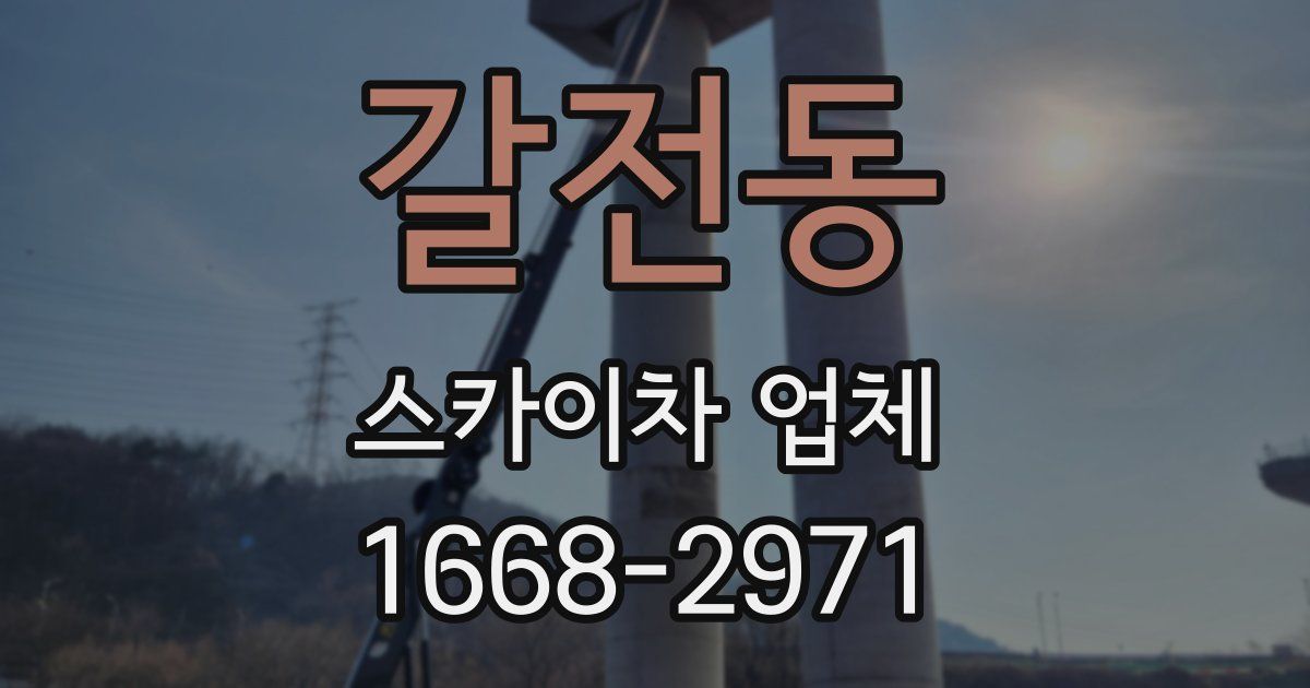 갈전동 스카이차 업체