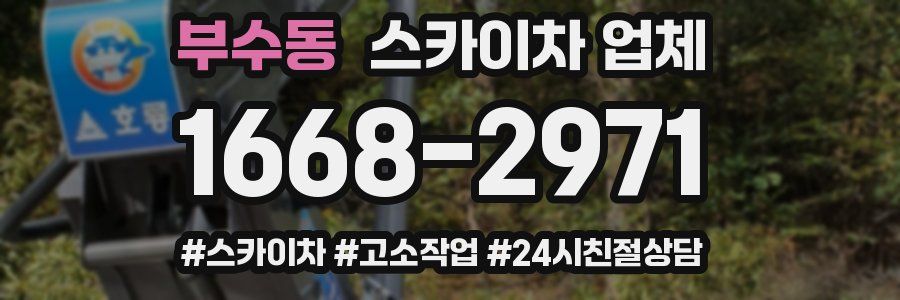 부수동 스카이차 업체