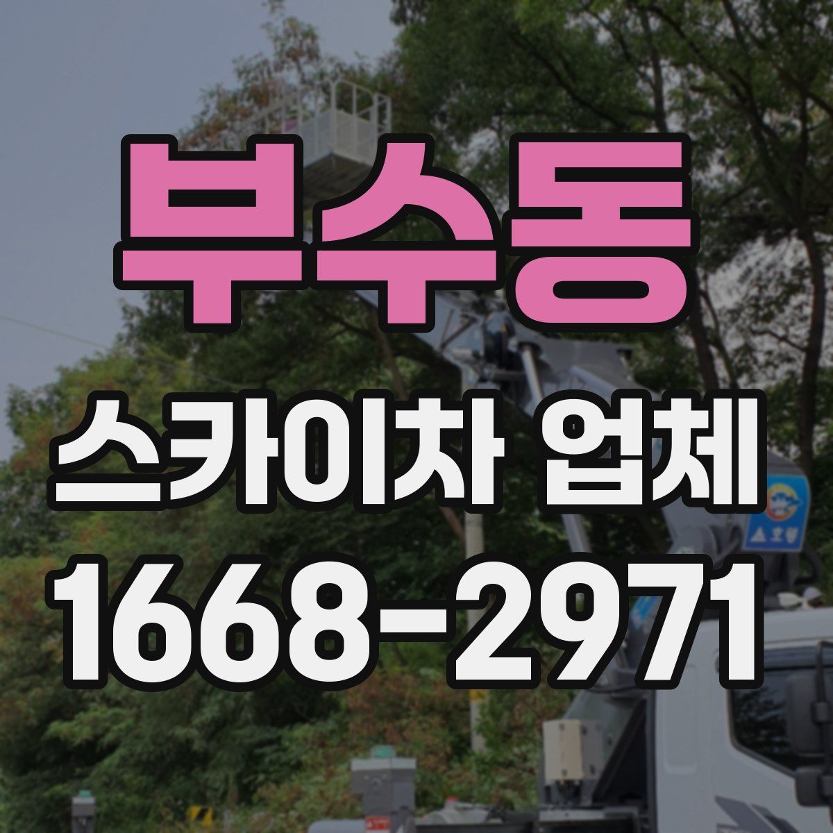 부수동 스카이차 업체