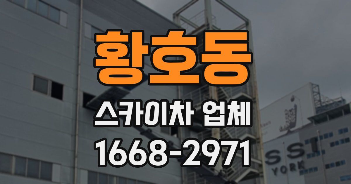 황호동 스카이차 업체