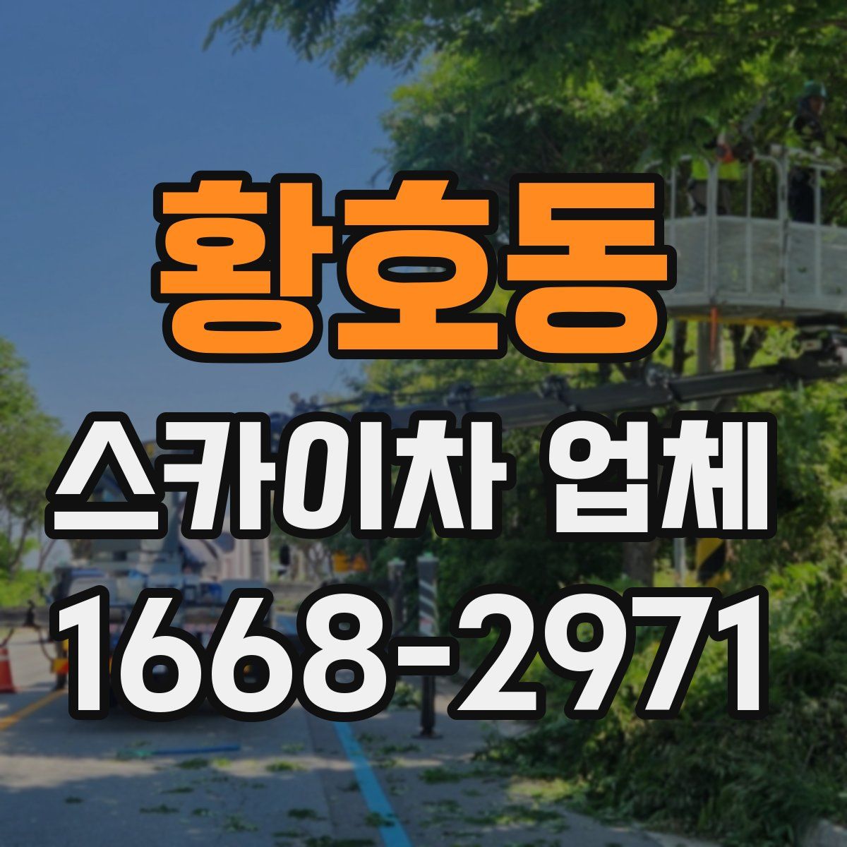 황호동 스카이차 업체