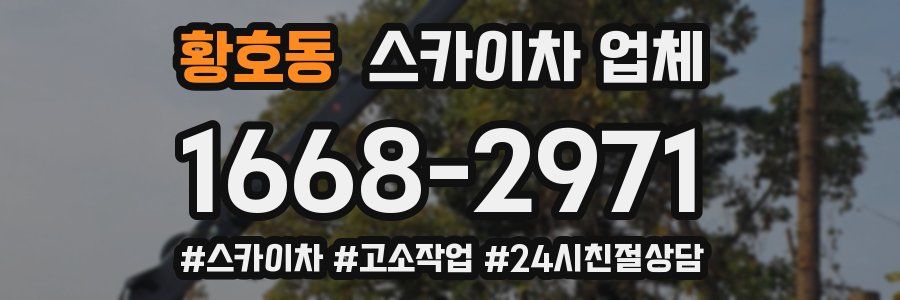 황호동 스카이차 업체