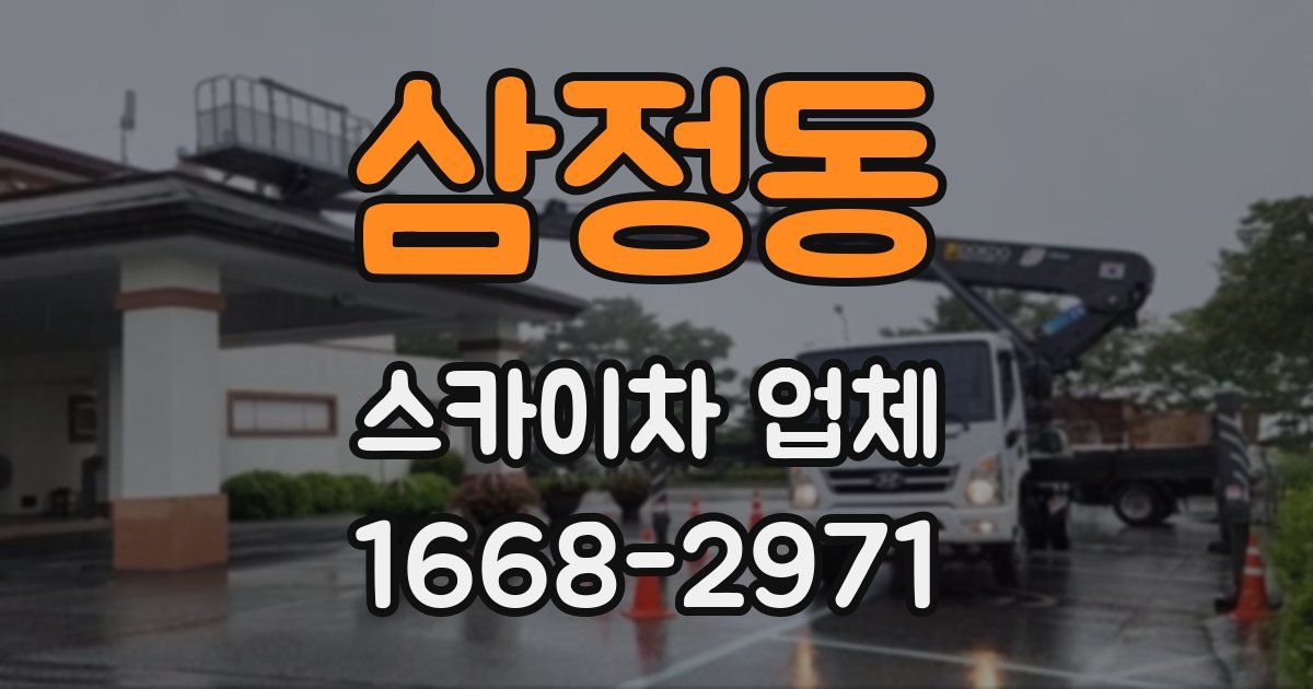 삼정동 스카이차 업체