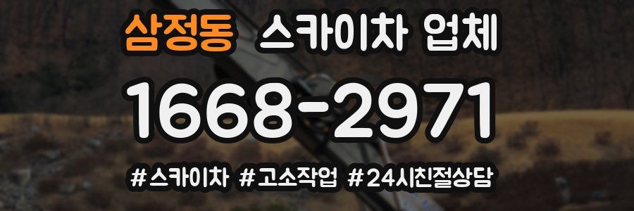 삼정동 스카이차 업체