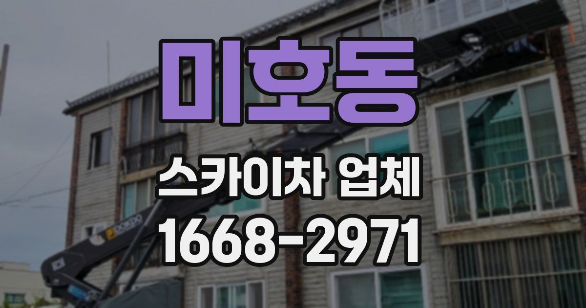 미호동 스카이차 업체