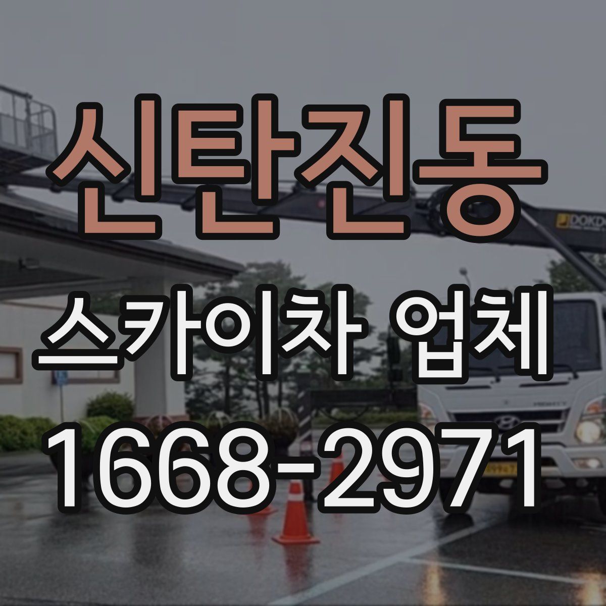 신탄진동 스카이차 업체