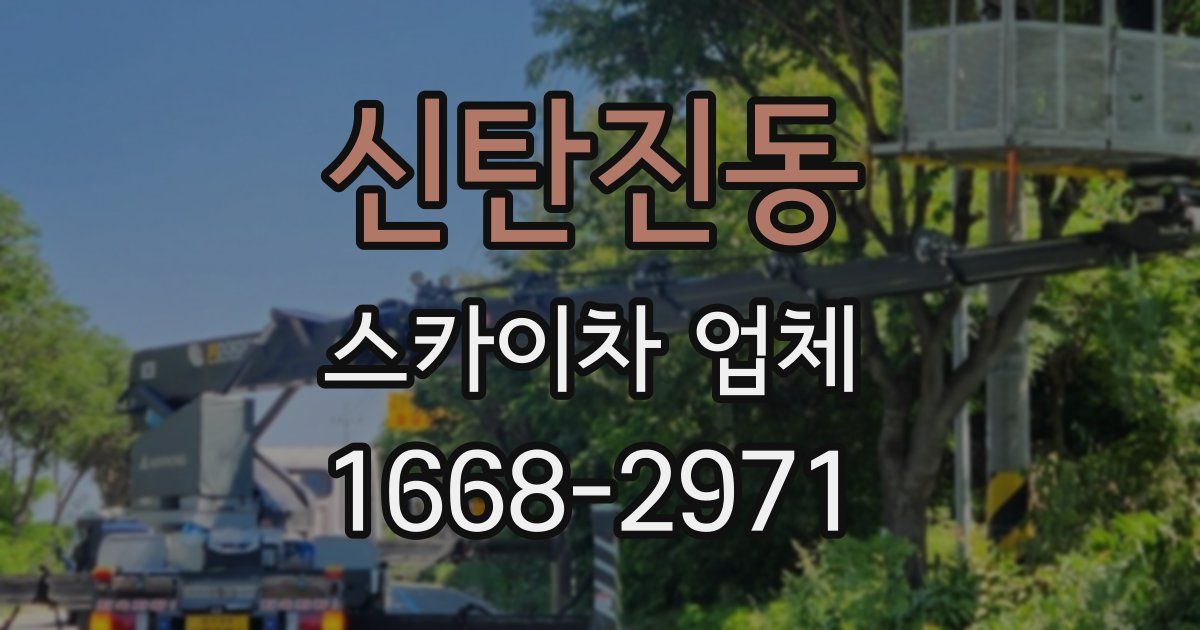 신탄진동 스카이차 업체