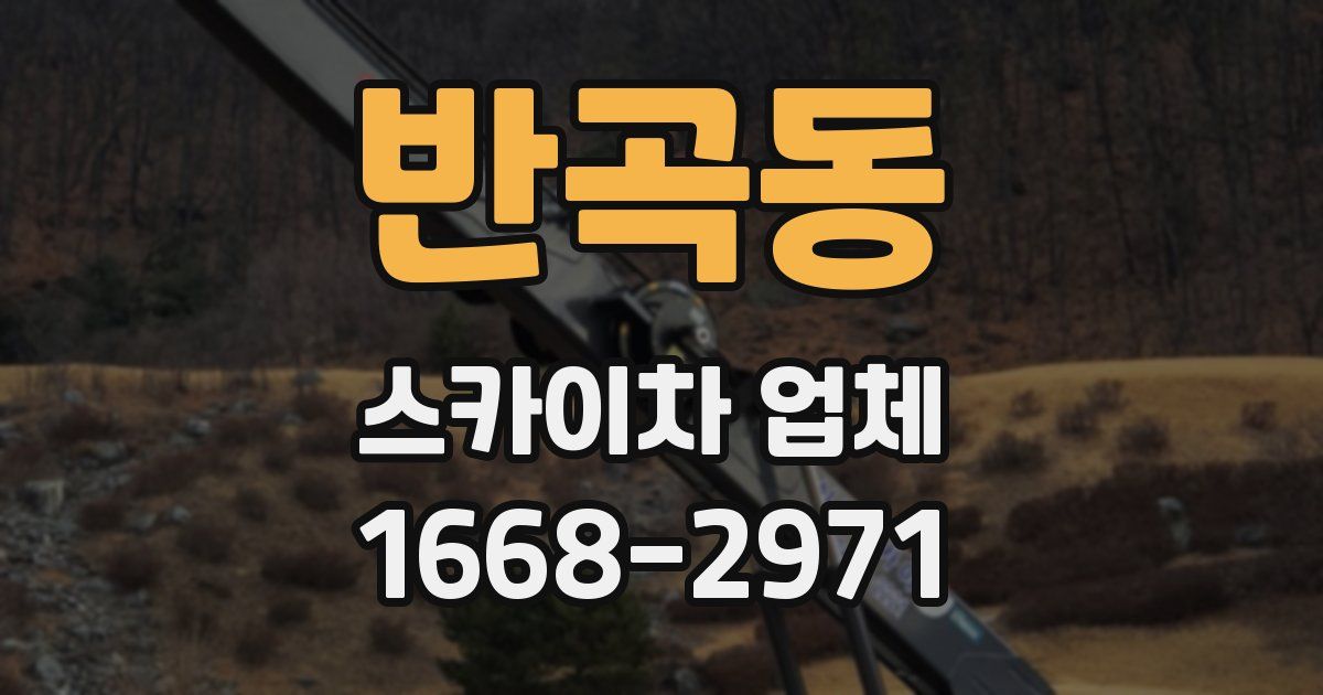 반곡동 스카이차 업체