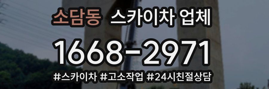 소담동 스카이차 업체