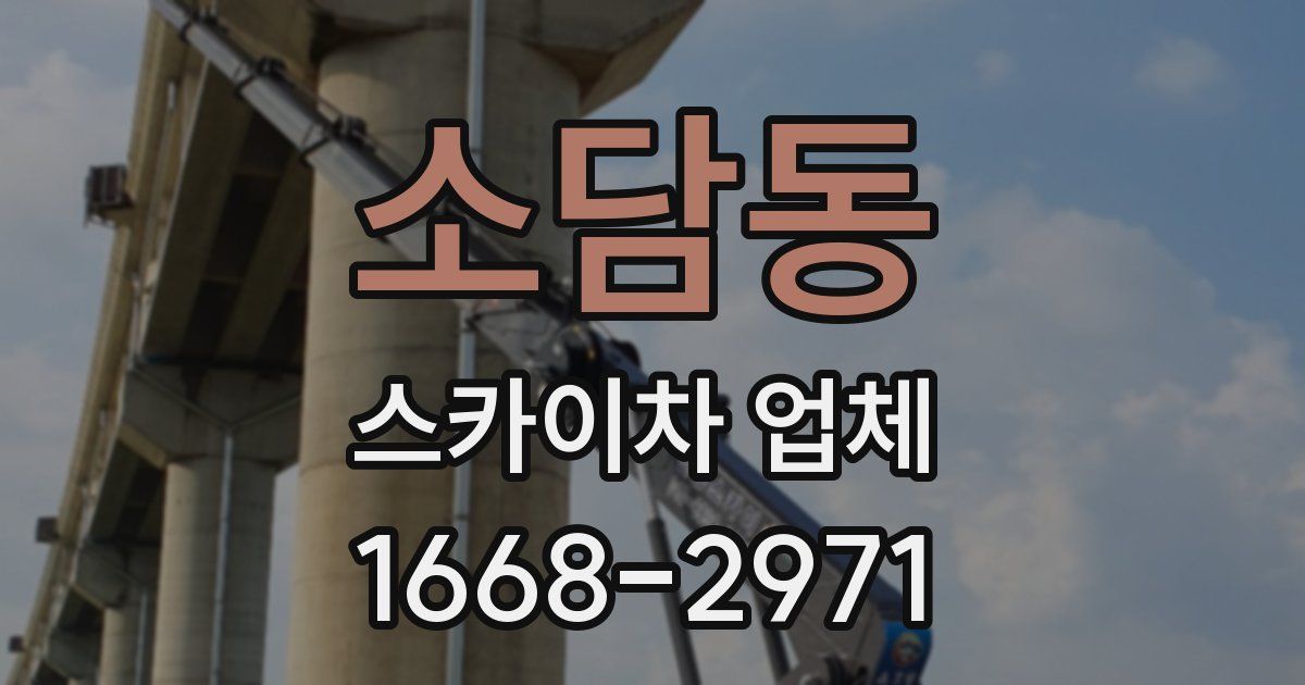 소담동 스카이차 업체