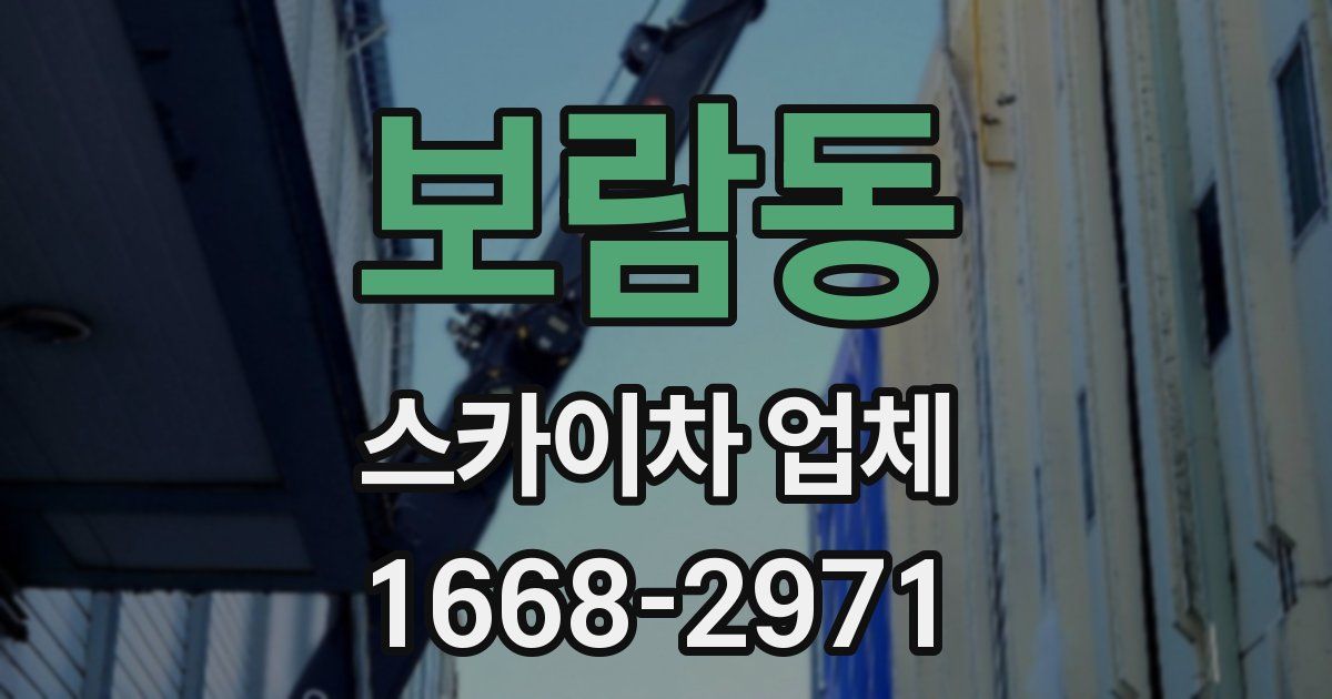 보람동 스카이차 업체