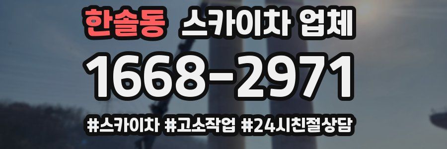 한솔동 스카이차 업체