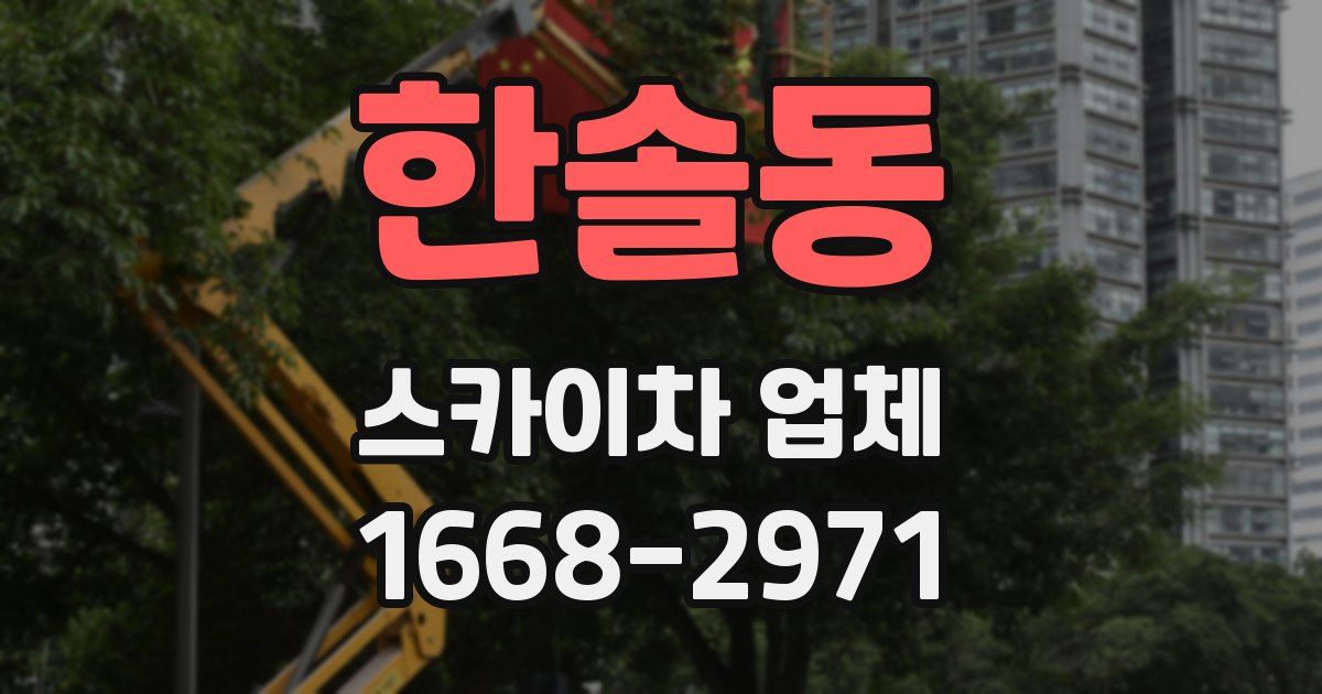 한솔동 스카이차 업체