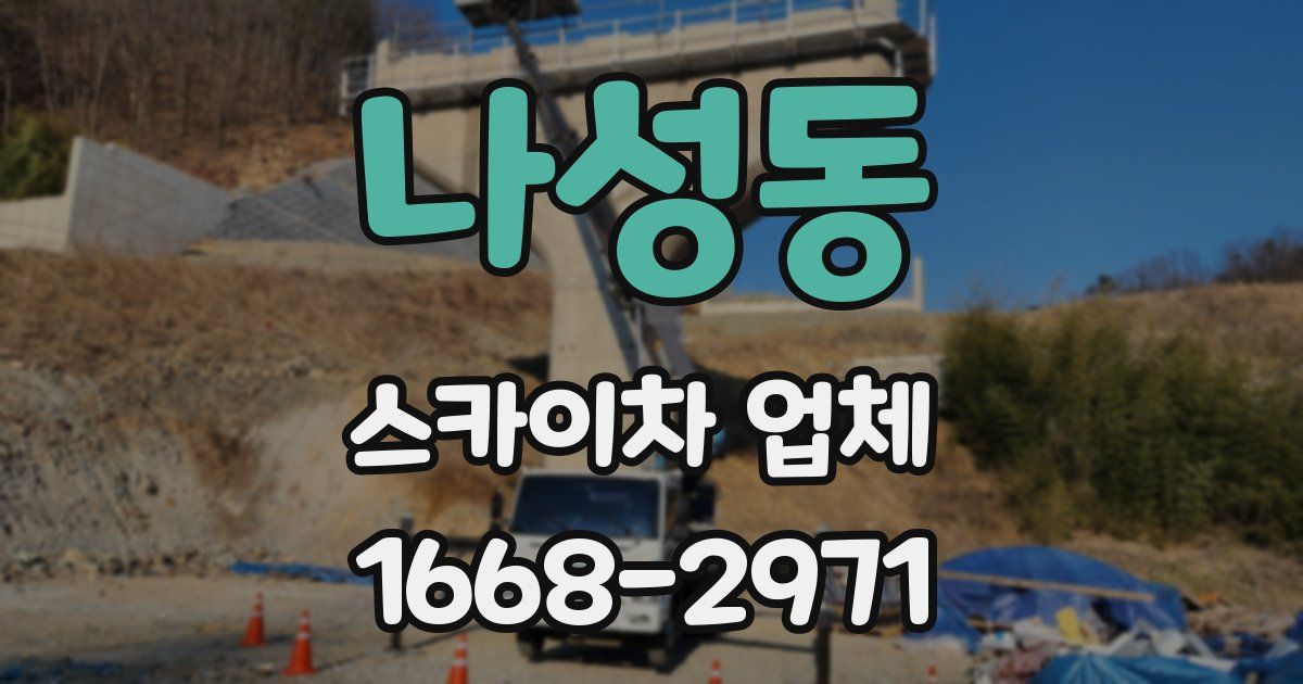 나성동 스카이차 업체