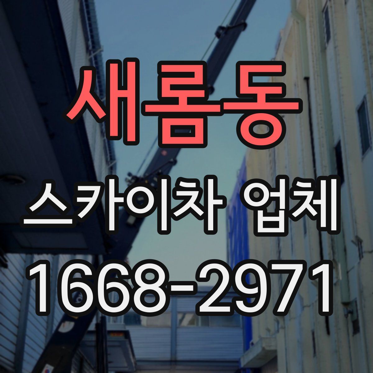 새롬동 스카이차 업체
