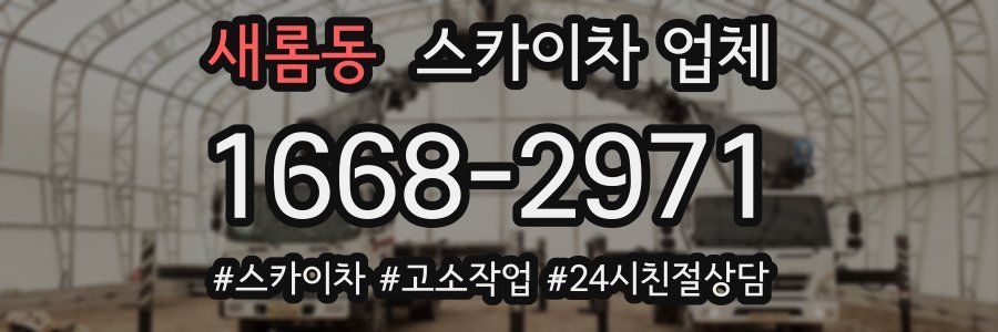 새롬동 스카이차 업체