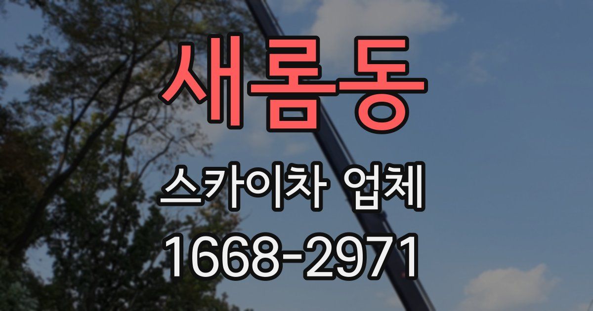 새롬동 스카이차 업체